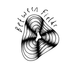 Between Fields