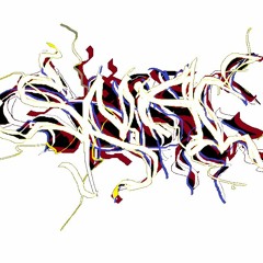 hoodnacs