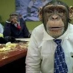 мистер бубел