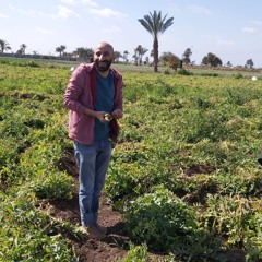 عبدالرحمن