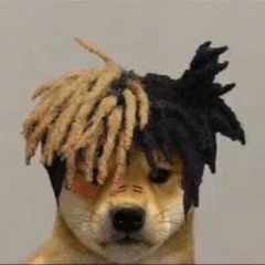 vegg