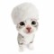믄냥이