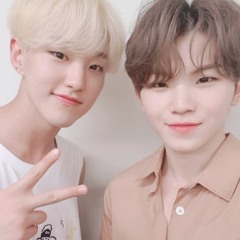 캐럿
