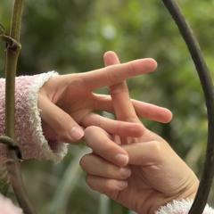 安芯
