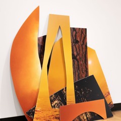 We Won't Be Silent While Our Friends Are Gunned Down - Minneapolis Singing Protest Against ICE