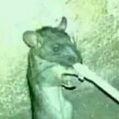 kuki