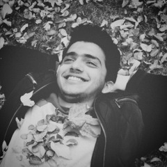 Mohammad Amin Amraee
