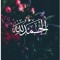 Amera Elfaiuomy