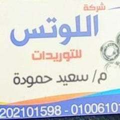 اللوتس للتوريدات رولمان بلي