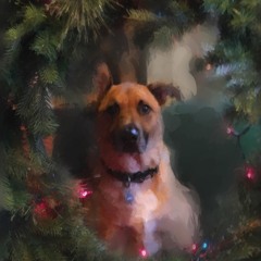 Christmas & Other Standards