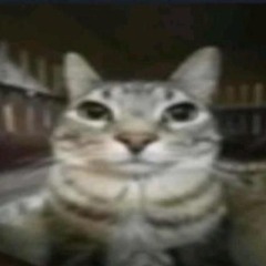 ikantgoon