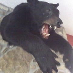 djskinnevada[o8oNOW]