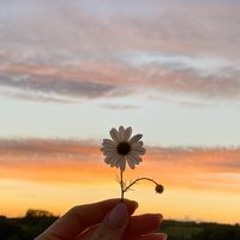 Neringa Marcinkeviča