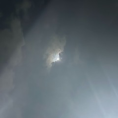 dawnlight_
