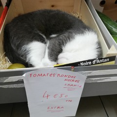 m.lili