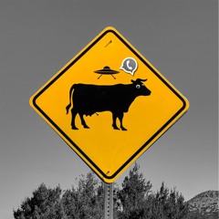 Não É Da Sua Conta