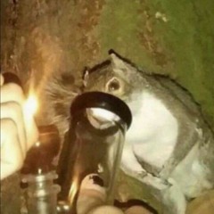 nxvr_xLi