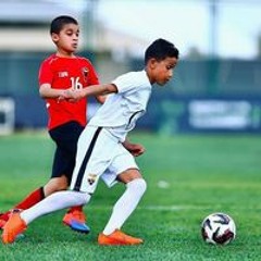 يوسف السنقاوي