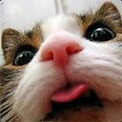 mikkqu