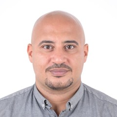 Mena Ayoub