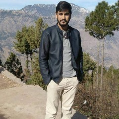 Tauseef