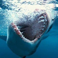 Saltwater Alphas