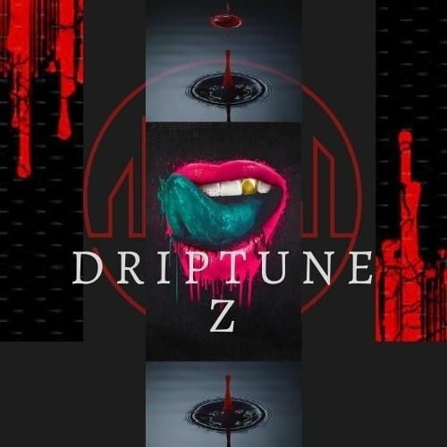 DRIPTUNEZ’s avatar