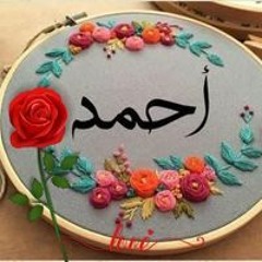 Abeer Ghareeb