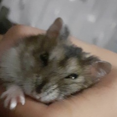 Von