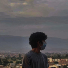 DonanFerVezCha.