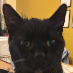 Jacob