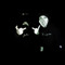 Dark Wxter
