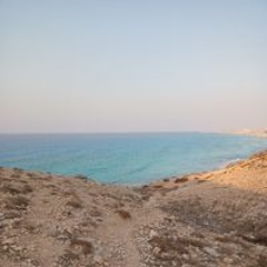 مصطفى عصر