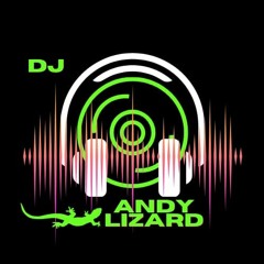 DJ Andy Lizard