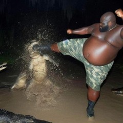 guy kicking crocodile