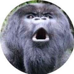 AwesomeEirik