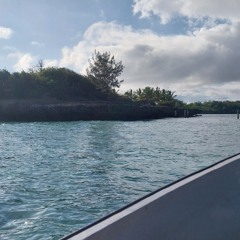 Mohammed Khalifa Al Zakwani