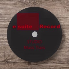 e suite RECORDS