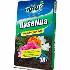 Rašelina