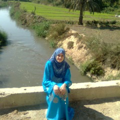 Fatma El Zahraa Yehia