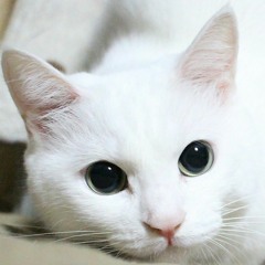 Печорин