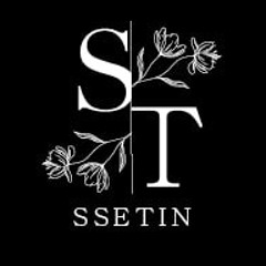 SSETIN