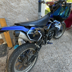 dar2l1