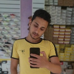 user381308720