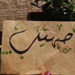 ꜱᴏʜᴀɪʙ  모