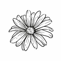 OneChilledFlower 🌼