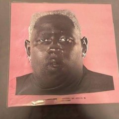 Fat IGOR