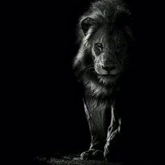 بدر المشعان