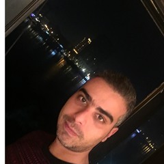 ahmed elprince