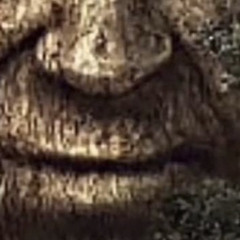 nanit